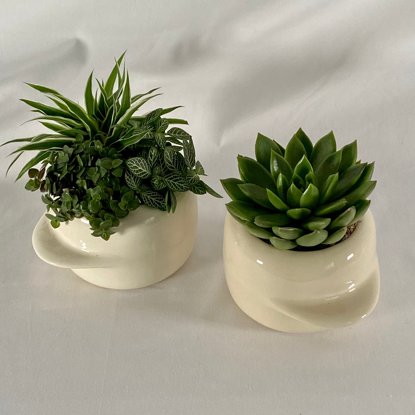 VASE  AMENO S
